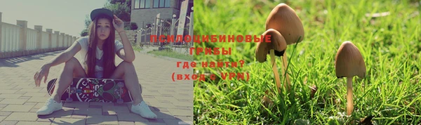 гашиш Аркадак