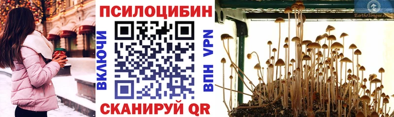 Галлюциногенные грибы MAGIC MUSHROOMS  Нововоронеж 